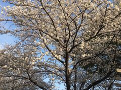 -玄武湖景区-情侣园游乐场