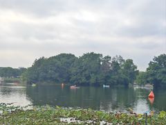 -新江湾城公园
