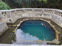 -习家池