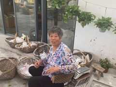 -美家乐农庄·露营·团建(大治路店)