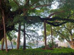 -桂林两江四湖景区