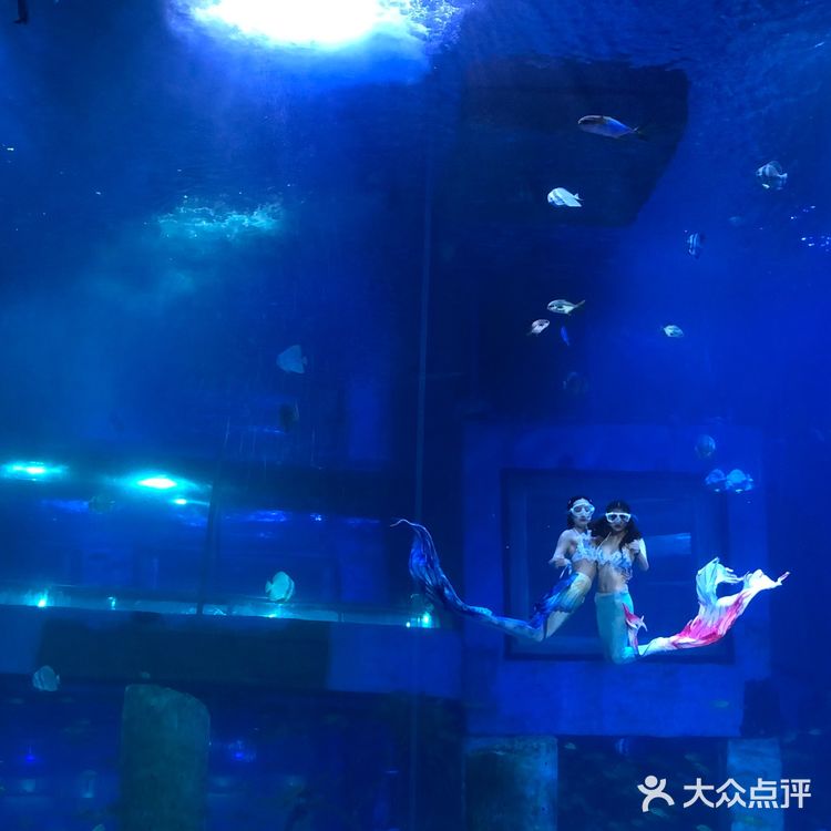 亲子首选👉🏻正佳极地海洋世界