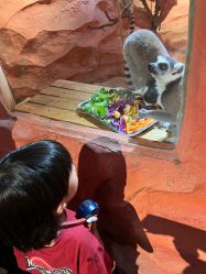 -Zoolung Zoolung动物主题公园(海信广场店)