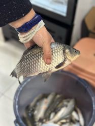 -巡鱼道·室内垂钓·渔具店