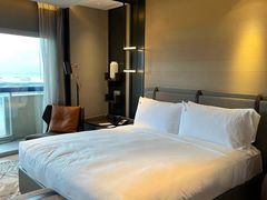 -新加坡瑞士史丹福酒店