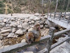 -姑婆山旅游区
