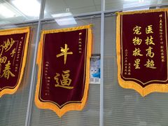 -美美宠物诊疗中心·异宠·骨科(滨江东信分院)