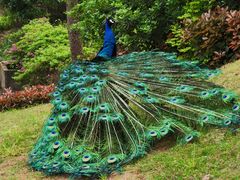 -老淳安—伴山伴湖(千岛湖开元度假村店)