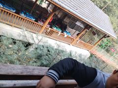 -藏龙百瀑风景区