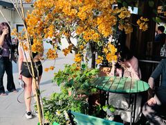 -The Flowers Coffee(南山店)