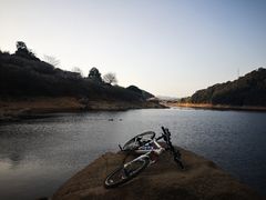 -广州市流溪河国家森林公园