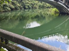 -鼎湖山风景区