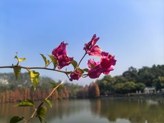-星湖旅游景区七星岩