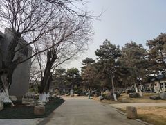 -中国唐苑
