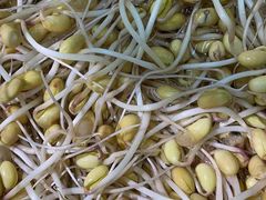 -华联商厦(火车站店)