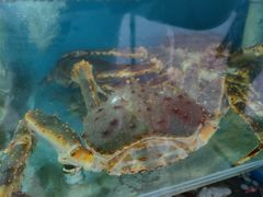 -名超海鲜烧烤大排档