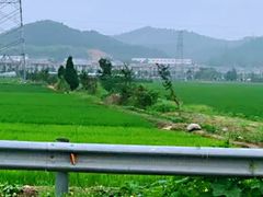 -李东农庄(中南百草园地标店)