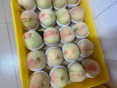 -老袁家蜜桃农场·阳山水蜜桃