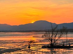 -渔享海尚鲜酒楼(广海渔人码头店)