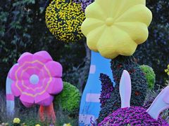 -上海共青森林公园