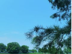 -崖口煲仔饭