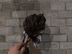 -春花秋色城市公园