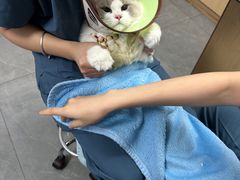 -贝利宠物医院·骨科·眼科·肿瘤转诊中心(南坪诊疗中心)