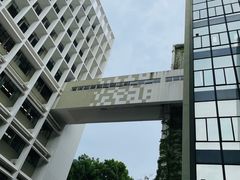 -香港大学