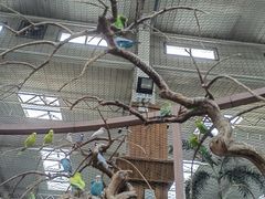 -南宫五洲植物乐园