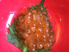 iphone_upload_pic-温度铁板烧(前进大街店)