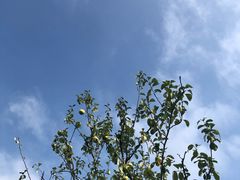 -南湖湿地公园