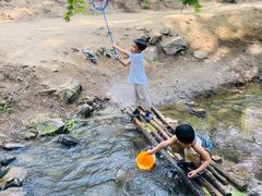 -白水寺森林公园