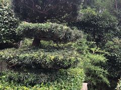 -东湖磨山景区