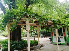 -晓港公园