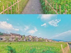 -木洞河街