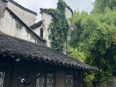 -乌镇东栅景区