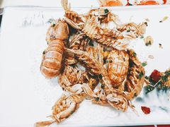椒盐皮皮虾-鑫悦楼煎蟹·16年海鲜大排档
