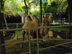 -长白岛森林公园