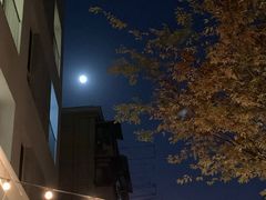 -AO cafe＆bistro