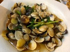 葱姜炒文蛤-大树下海鲜饭店
