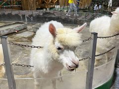 -上海昆虫博物馆