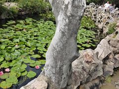 -无锡蠡湖国家湿地公园-蠡园