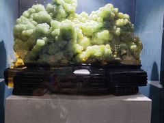 -河南自然博物馆