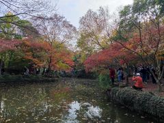-秋霞圃