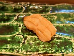 -AKIMOTO秋本寿司(双井店)