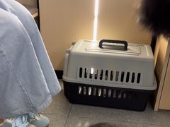 -瑞派伍一宠物医院·眼科·骨科·猫科转诊中心(马王堆院)