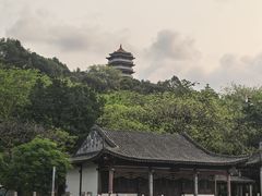-福神岗公园