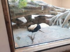 -宁波野生动物园
