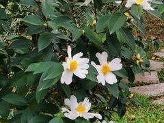 -广州神农草堂中医药博物馆