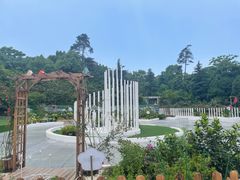 -南山植物园